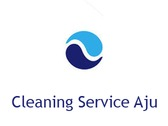 Cleaning Service Aju