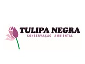 Tulipa Negra Conservação Ambiental