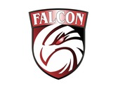 Logo Grupo Falcon