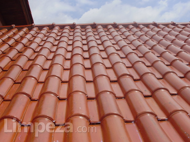 Limpeza e impermeabilização de telhados
