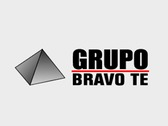 Grupo Bravo TE