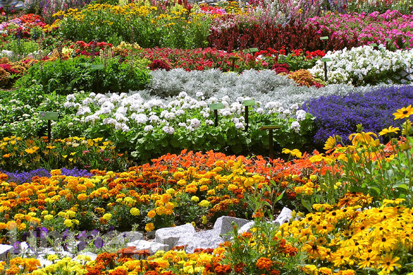 Veja os principais serviços terceirizados para jardins