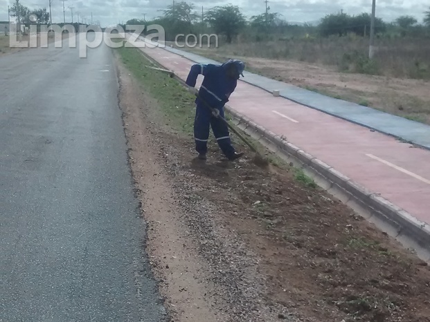 Roço e capina manual e motorizada