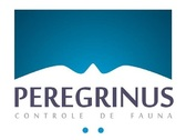 Peregrinus Controle De Fauna