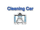 Cleaning Car