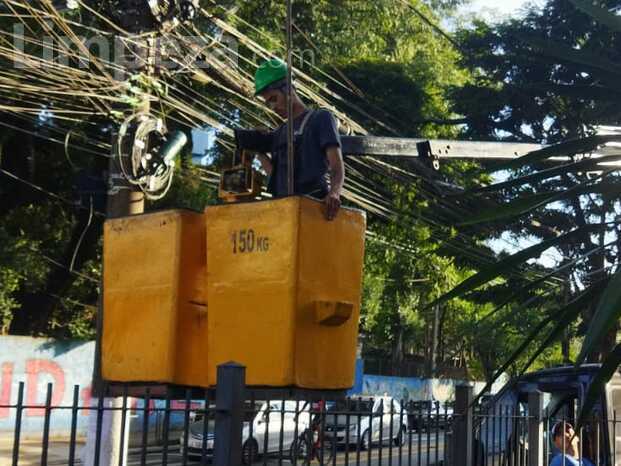 Limpeza Cesto Aéreo