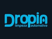 Dropin Limpeza Automotiva