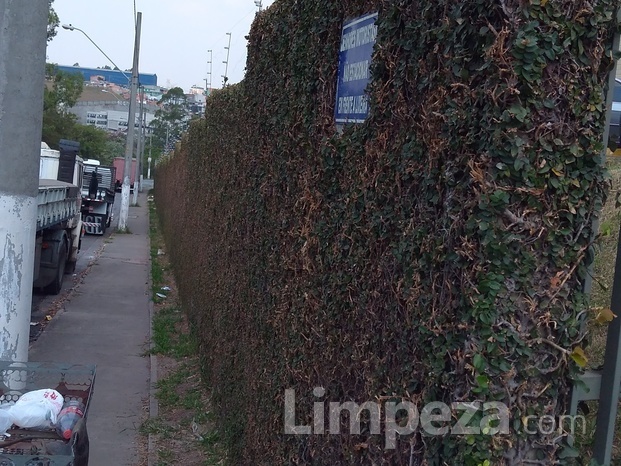 Poda de muros em geral