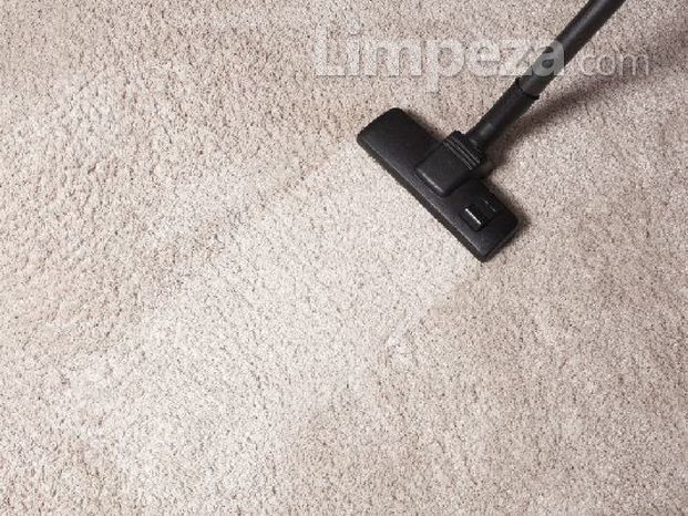 Impearmibilização de carpete
