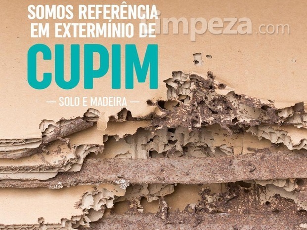 Extremínio de cupim