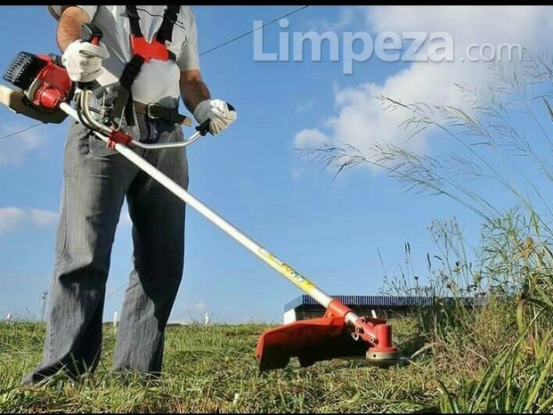 Pode grama com equipe especializada