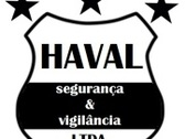 Haval Segurança Eletrônica e Prestação de Serviços