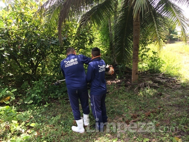 SERVIÇOS DE ROÇAGEM E LIMPEZA DE ÁREAS VERDES 