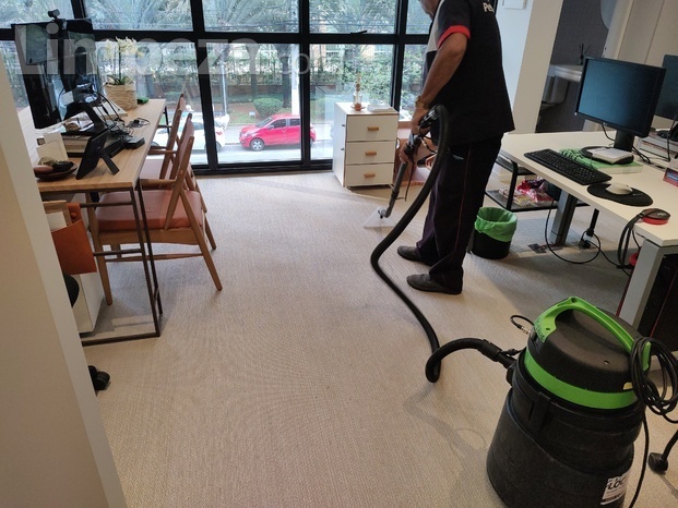 limpeza carpete.jpg