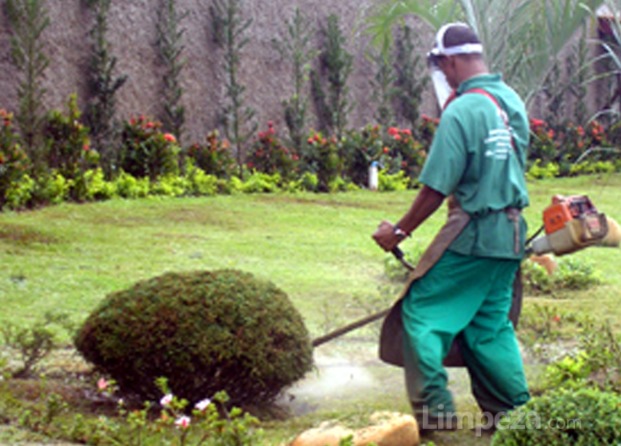 Jardineiro