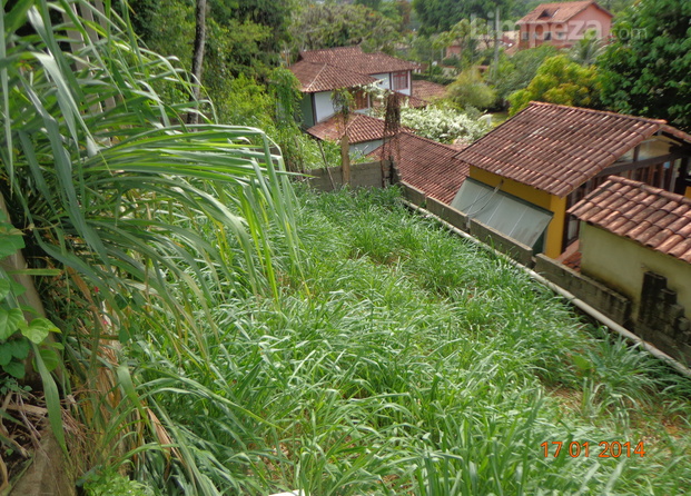 Capina de terreno em Vargem Grande