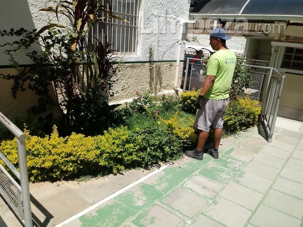 Manutenção de jardim