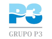 Grupo P3