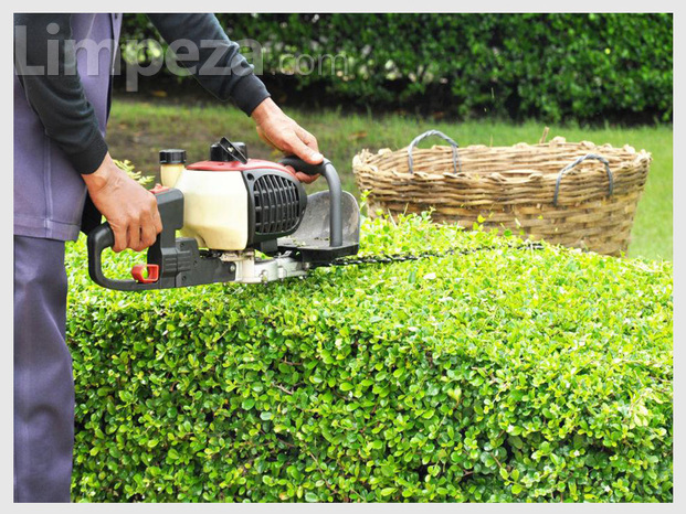 Jardinagem Paisagista e Roçador.jpg